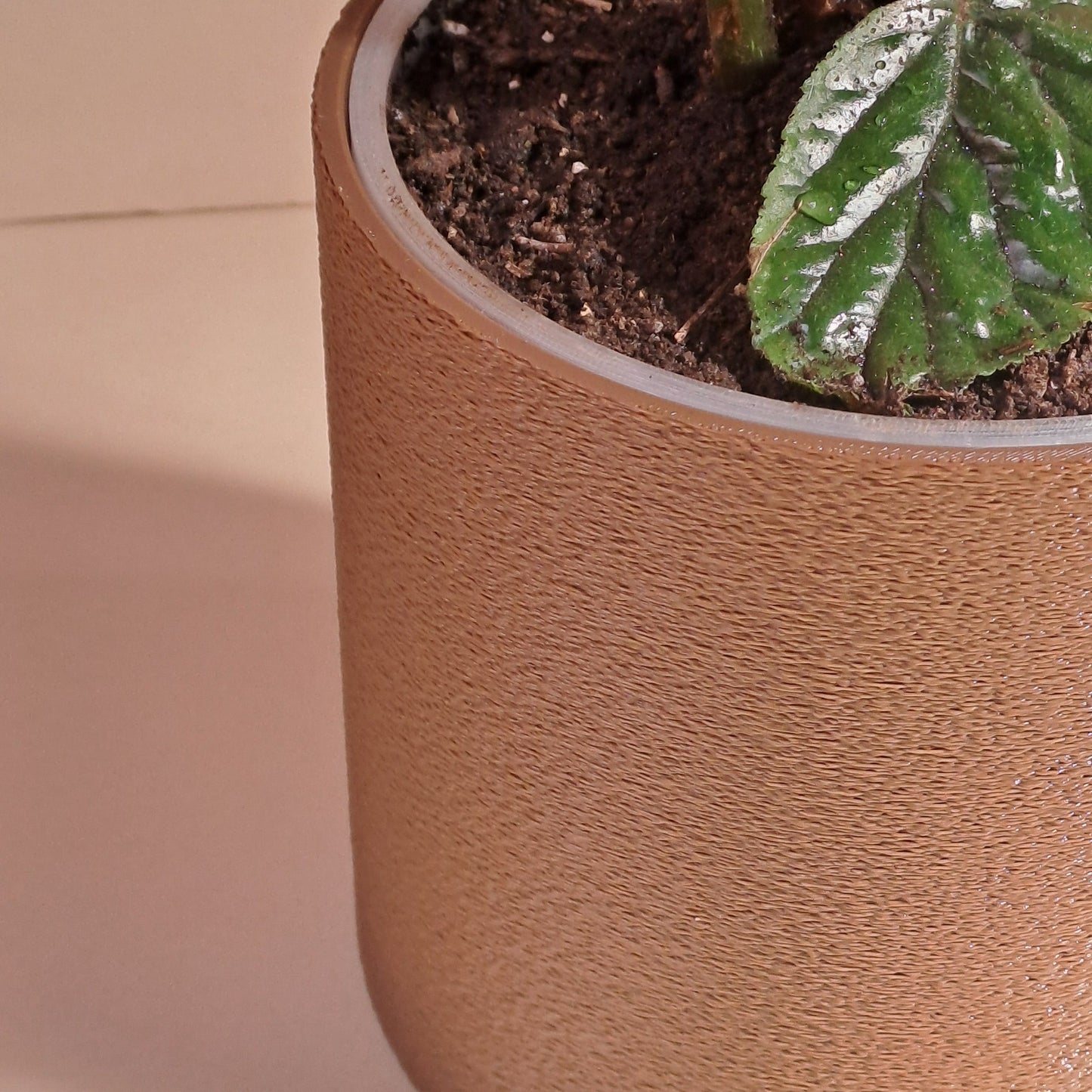 Macetero Round con planta - Socialplas